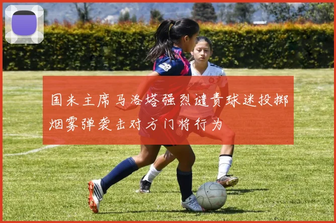 国米主席马洛塔强烈谴责球迷投掷烟雾弹袭击对方门将行为